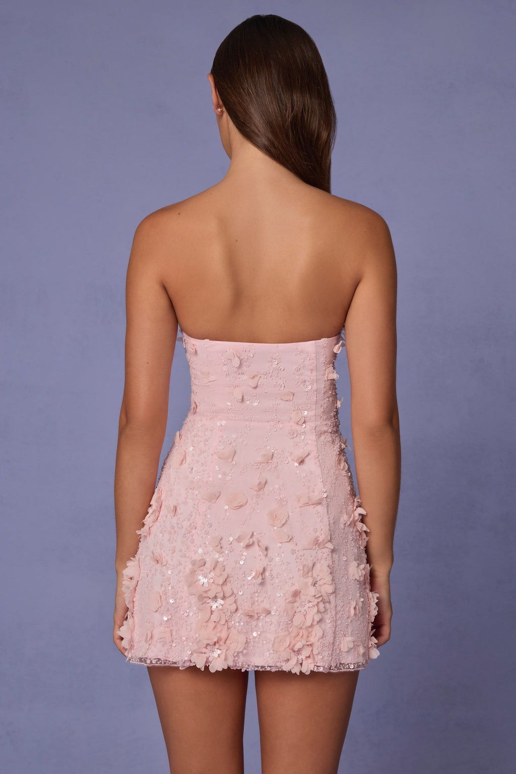 Embellished Bandeau A-line Mini Dress in Ballet Pink