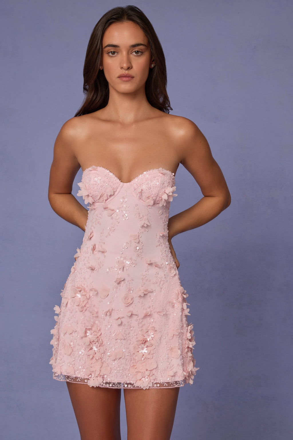 Embellished Bandeau A-line Mini Dress in Ballet Pink